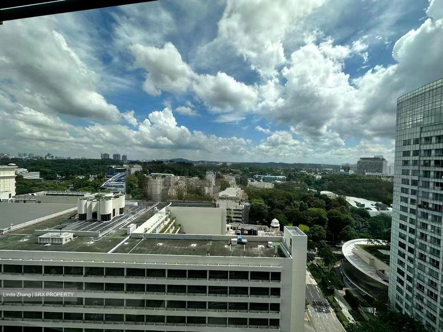 Hana (D10), Condominium #516715041